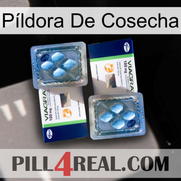 Píldora De Cosecha viagra5.jpg